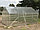 Теплица 4-х метровая "Садовод Кантри" (Оцинковка,труба 40х20мм,шаг 1 м между дугами+поликарбонат 4 мм), фото 6