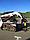 Погрузка песка мини-погрузчиком Bobcat T-140, фото 5