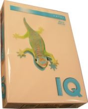Бумага IQ COLOR, темно-кремовый, 80 г/м2, А4, 500л. - фото 5 - id-p4018987