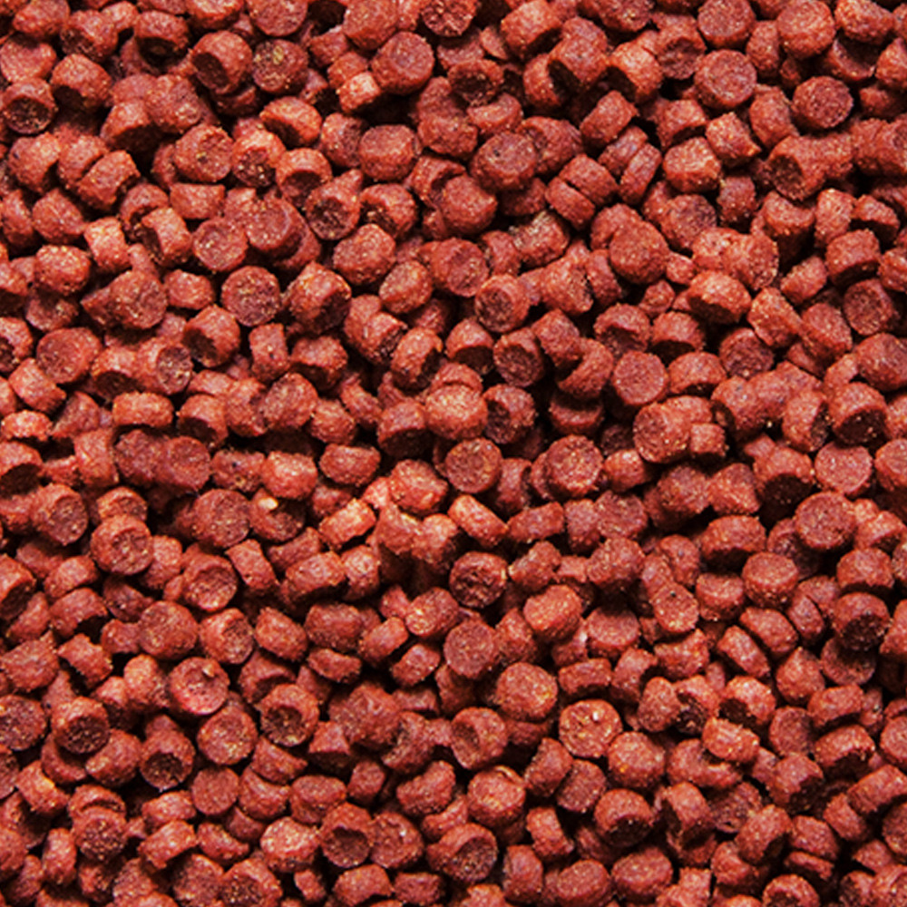 SERA granured гранулы 20гр- корм для плотоядных цихлид (гранулы) - фото 2 - id-p86062009
