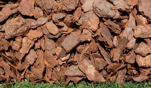 Кора деревьев хвойных пород 0,5-20