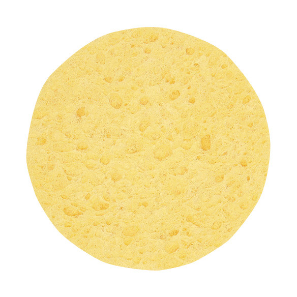 Pollie