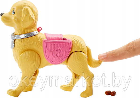 Игровой набор Barbie "Прогулка с питомцем" DWJ68, фото 2