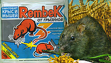 Гранулы от крыс и мышей Рембек 250г.