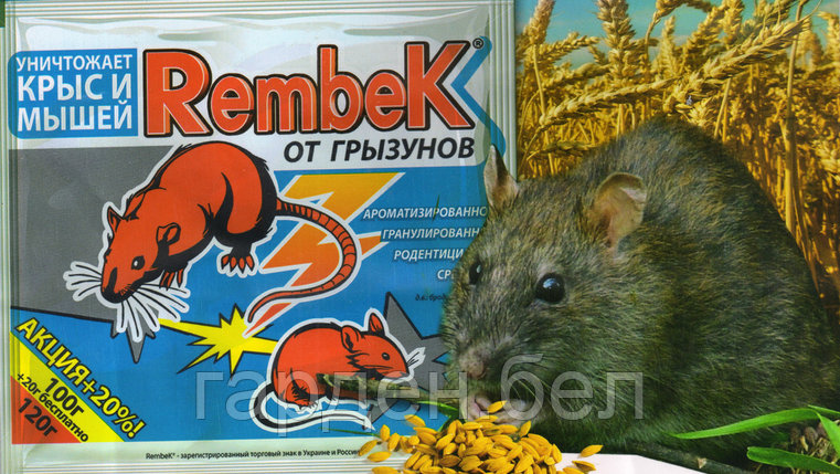 Гранулы от крыс и мышей Рембек 250г., фото 2