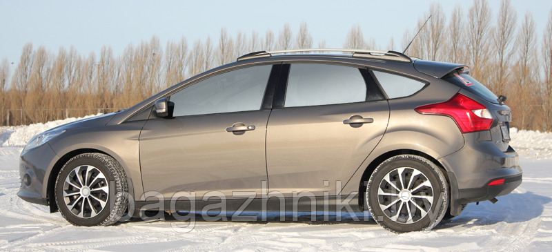 Рейлинги FORD FOCUS III хэтчбек - анод серый