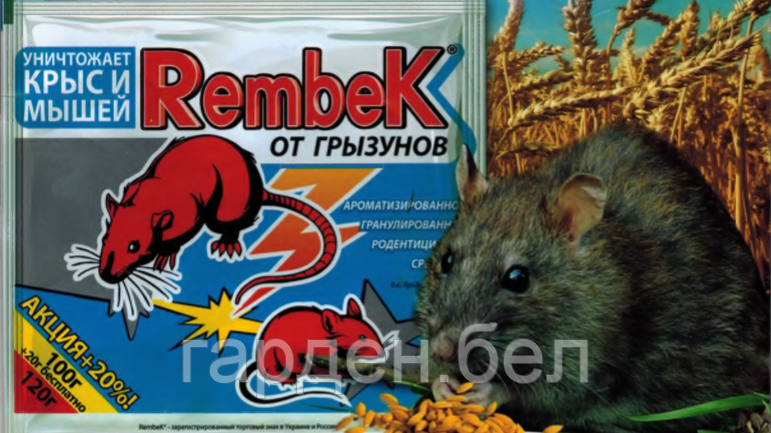 Гранулы от крыс и мышей Рембек 120г. - фото 1 - id-p84588305
