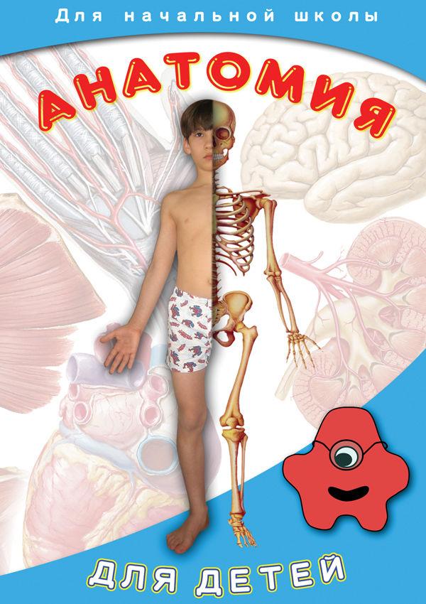 Компакт-диск "Анатомия для детей" (DVD) - фото 1 - id-p84775181