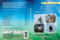 Компакт-диск "Оседлые и перелетные птицы" (8 сюжетов, 52 мин)