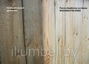 Отбеливающий состав для древесины Иней WOODMASTER, фото 2