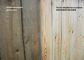 WOODMASTER Иней отбеливающий состав для древесины, фото 2