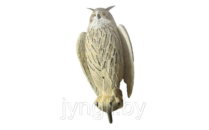 Чучело филина с крыльями большое (серый) - фото 1 - id-p85167217