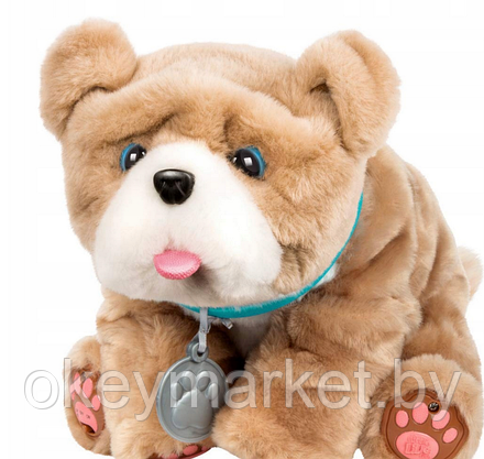 Интерактивная игрушка Щенок Ролли Little Live Pets Rollie, фото 3