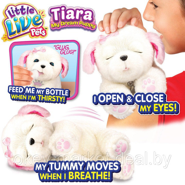 Интерактивная игрушка Щенок моей мечты Little Live Pets TIARA - фото 6 - id-p85306099