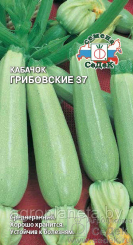 Кабачок ГРИБОВСКИЕ 37, 2г