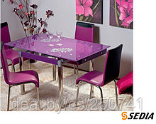 Стол раскладной KARLOTA-16 фиолетовый с рисунком
