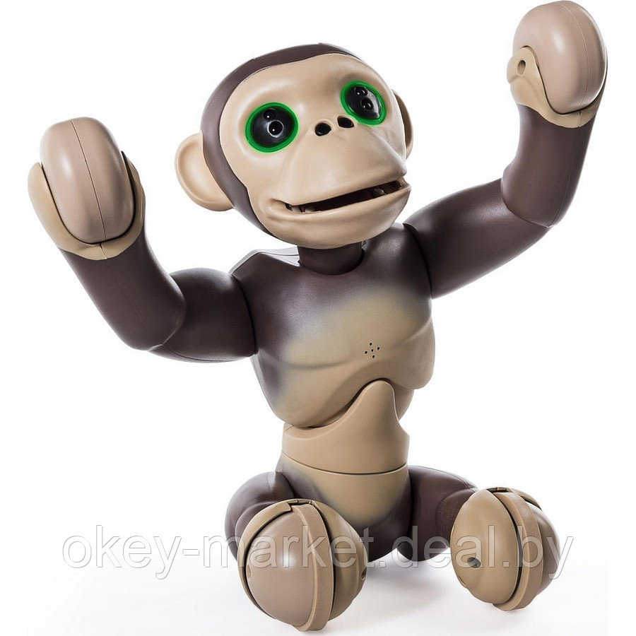 Интерактивный Шимпанзе Zoomer Chimp Spin Master - фото 3 - id-p85405579