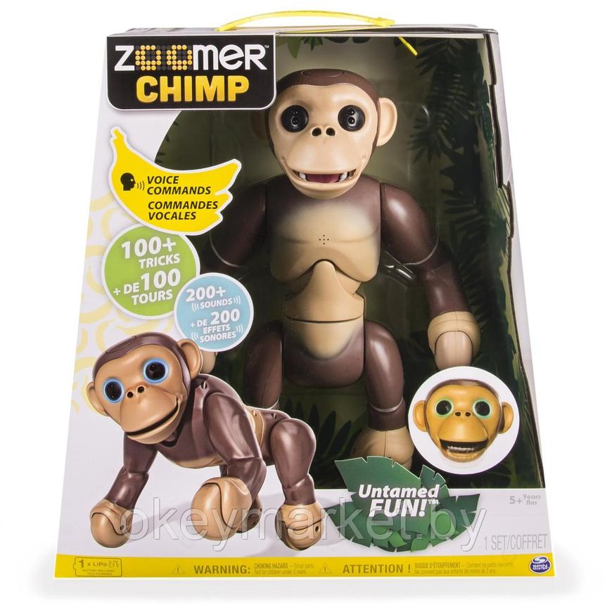 Интерактивный Шимпанзе Zoomer Chimp Spin Master, фото 2