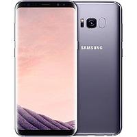 Смартфон Samsung Galaxy S8 Dual SIM 64GB