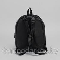Рюкзак молодёжный "Кошечки", отдел на молнии, 2 наружных кармана, цвет чёрный, фото 3