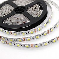 Светодиодная лента SMD 5050, 300 Led, IP33, 12V, Standart 14.4 Вт ,теплый белый