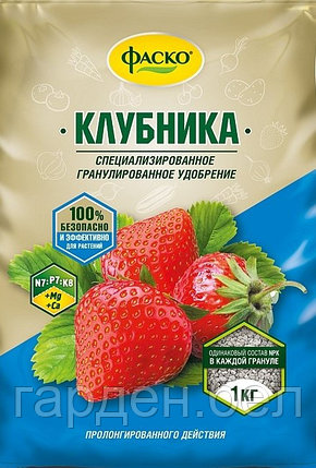 Удобрение специализованное Клубника Фаско 1кг, фото 2