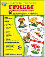 Демонстрационные картинки СУПЕР Грибы съедобные и несъедобные. 16 картинок с текстом., ТЦ СФЕРА