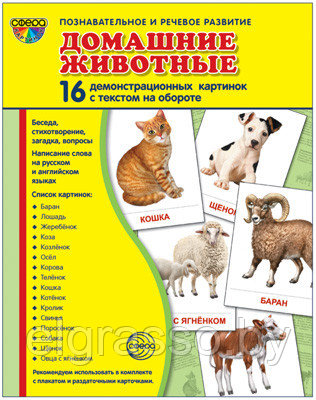 Демонстрационные картинки СУПЕР Домашние животные.16 картинок с текстом., ТЦ СФЕРА - фото 1 - id-p85869232