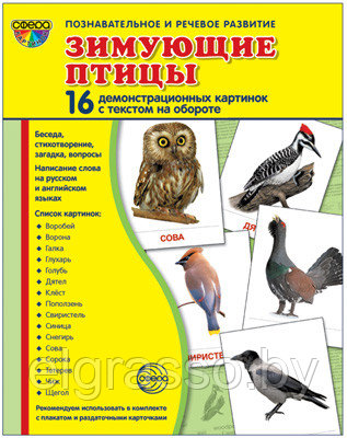 Демонстрационные картинки СУПЕР Зимующие птицы.16 картинок с текстом., ТЦ СФЕРА