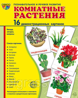 Демонстрационные картинки СУПЕР Комнатные растения.16 картинок с текстом., ТЦ СФЕРА