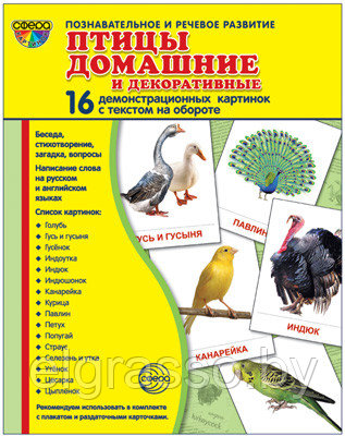 Демонстрационные картинки СУПЕР Птицы домашние и декоративные.16 картинок с текстом., ТЦ СФЕРА