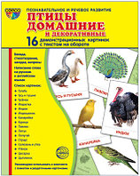 Демонстрационные картинки СУПЕР Птицы домашние и декоративные.16 картинок с текстом., ТЦ СФЕРА