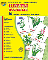 Демонстрационные картинки СУПЕР Цветы полевые.16 картинок с текстом., ТЦ СФЕРА