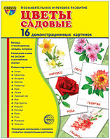 Демонстрационные картинки СУПЕР Цветы садовые.16 картинок с текстом., ТЦ СФЕРА