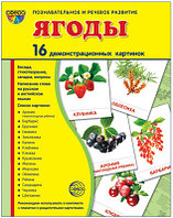 Демонстрационные картинки СУПЕР Ягоды.16 картинок с текстом., ТЦ СФЕРА