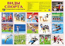 Демонстрационный плакат Виды спорта, А2, ТЦ СФЕРА
