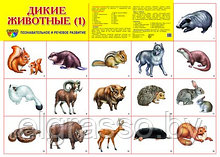 Демонстрационный плакат Дикие животные -1, А2, ТЦ СФЕРА