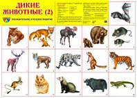 Демонстрационный плакат Дикие Дикие животные -2, А2, ТЦ СФЕРА