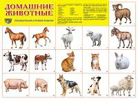 Демонстрационный плакат Домашние животные, А2, ТЦ СФЕРА