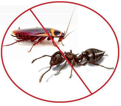 Средства от тараканов, муравьёв