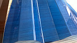 Монолитная трапеция и волнистый поликарбонат 1050*2000*08мм (синий) Borrex, фото 4