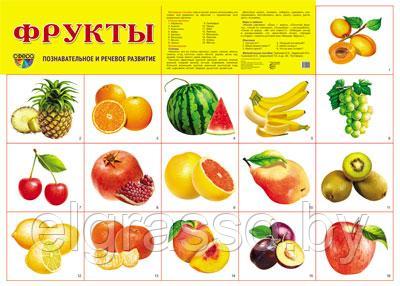 Демонстрационный плакат   Фрукты, А2 ТЦ СФЕРА