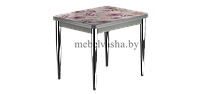 Кухонный стеклянный стол с фотопечатью ПРФ 90*70/140 РШ к