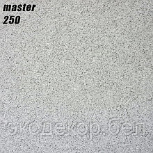 MASTER - 250