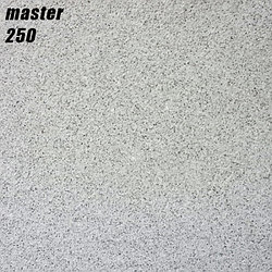 MASTER - 250