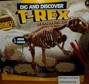 Раскопки динозавра - бесплатная доставка