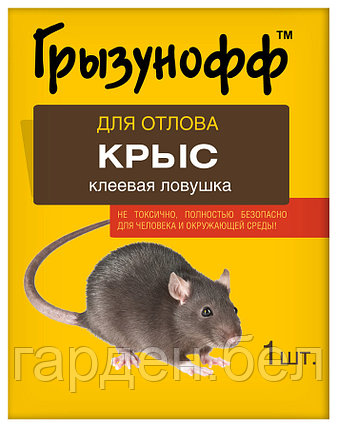 Клеевая ловушка Грызунофф, фото 2