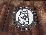 Табличка Злая Собака с подложкой, фото 2