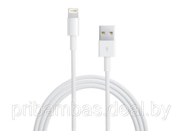 USB дата-кабель Lightning MD818ZM/A, MXLY2ZM/A A1480 MQUE2ZM/A A1856 Craftmann для Apple iPhone 5, 6