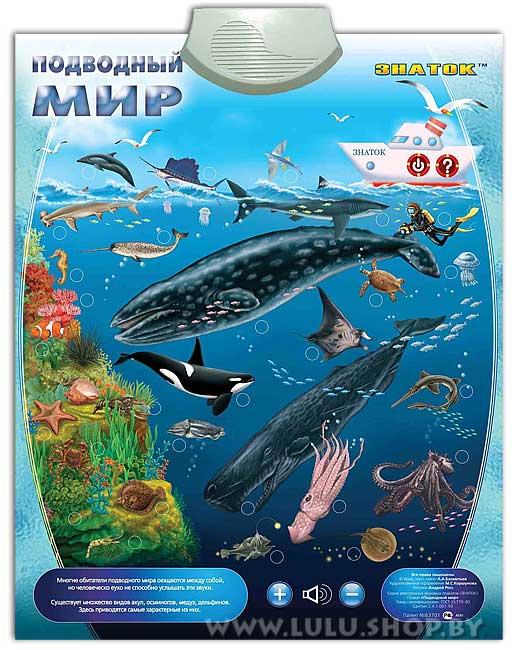 Звуковой плакат "Подводный Мир" (Знаток) - фото 1 - id-p86267981
